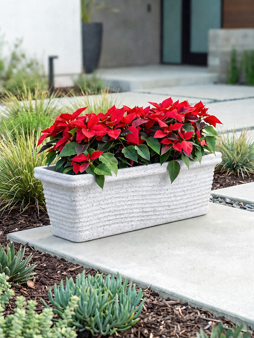 FLORENCE PLANTER