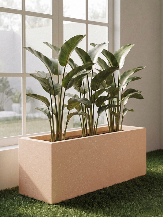 Quebec Rectangle with Fern Palm 5 ft