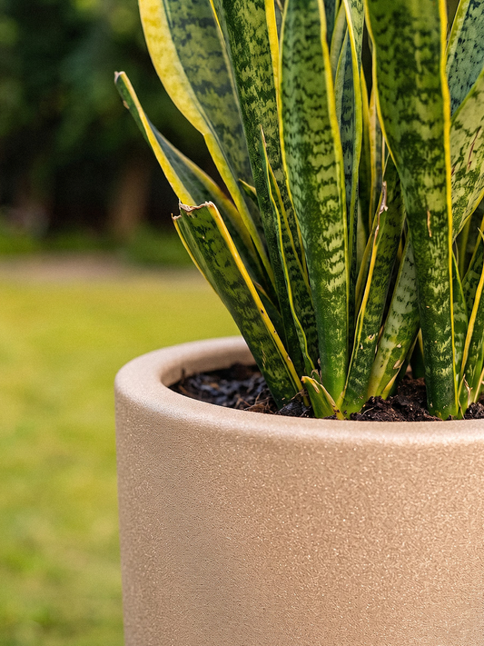 VENICE PLANTER