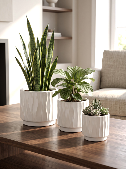 RIVO (Set Of 3 Pcs)