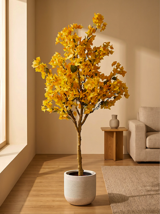 BOUGAINVILLEA YELLOW PLANT