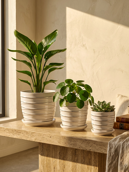 ELLISSE (Set of 3)