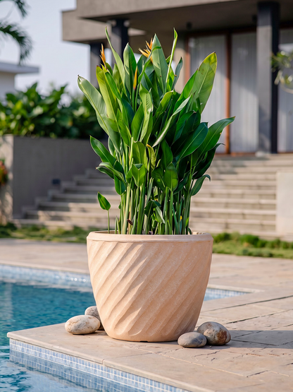 EURO PLANTER