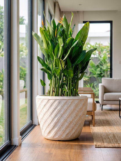 EURO PLANTER