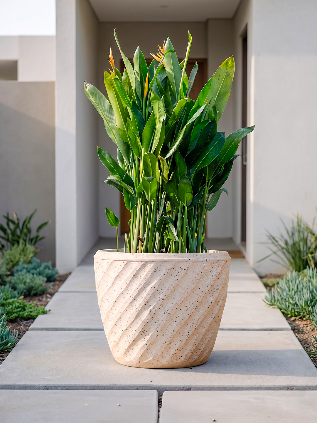 EURO PLANTER