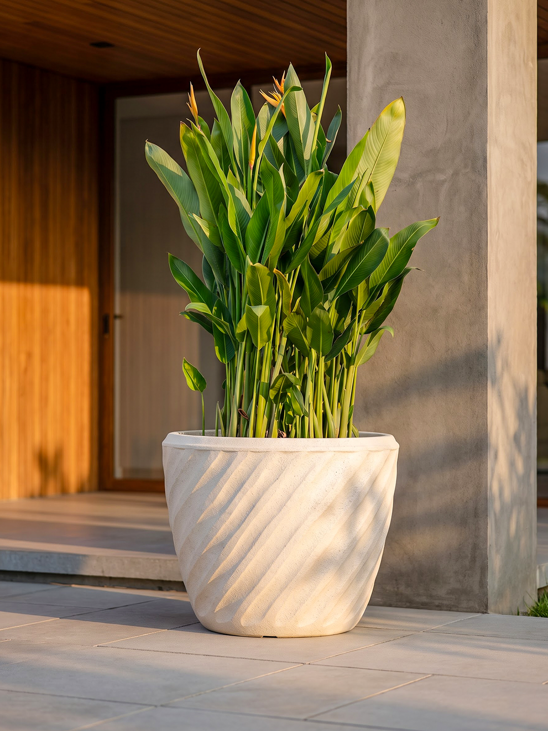 EURO PLANTER