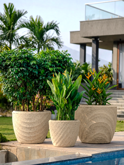 EURO PLANTER