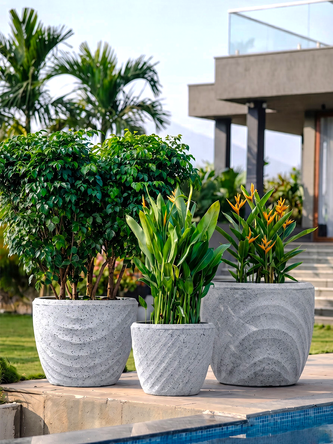 EURO PLANTER
