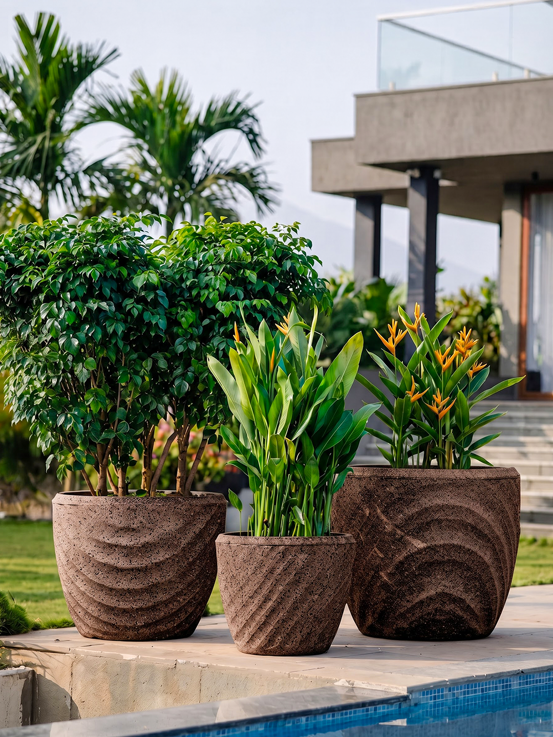 EURO PLANTER