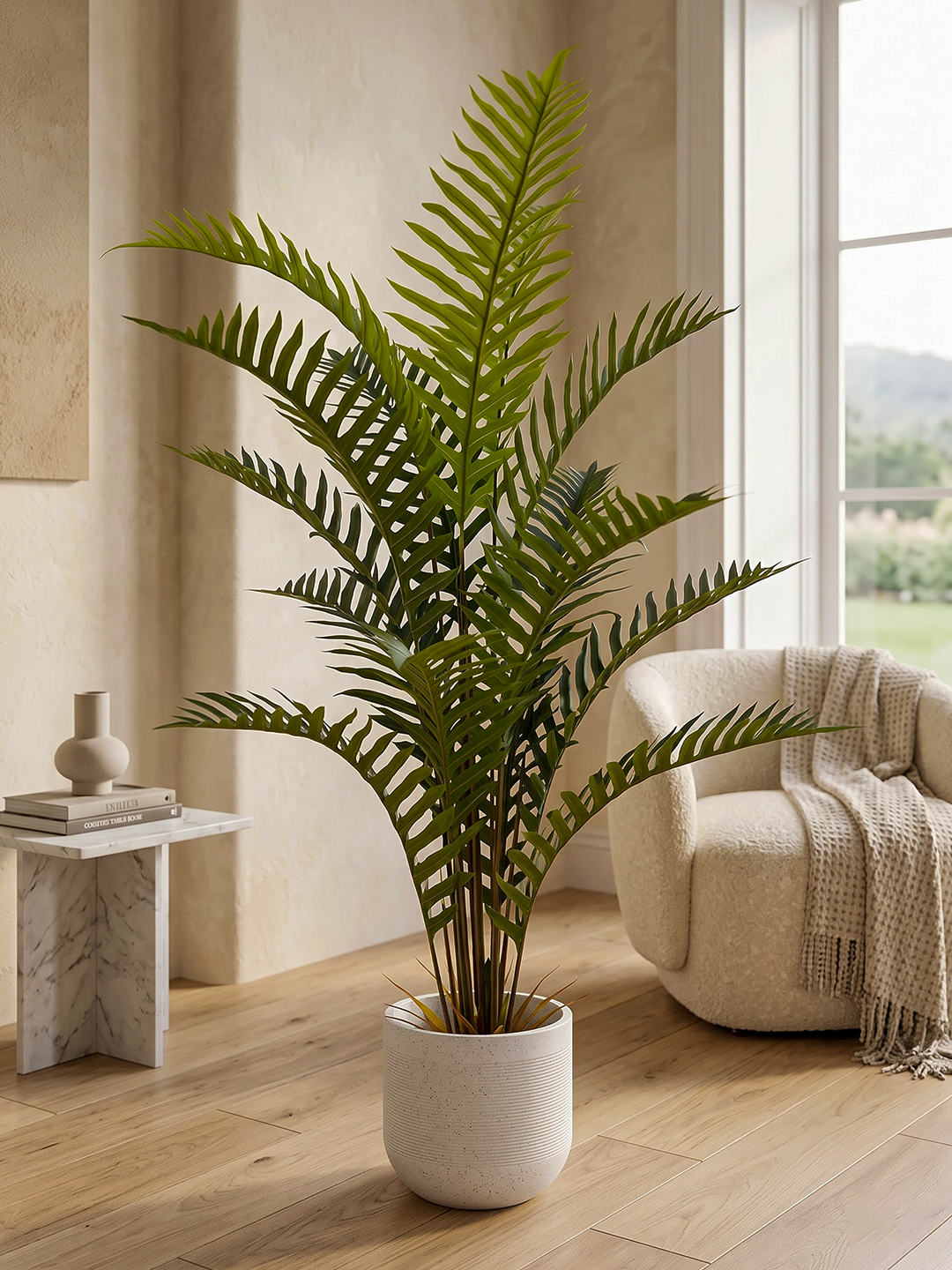 FERN PALM