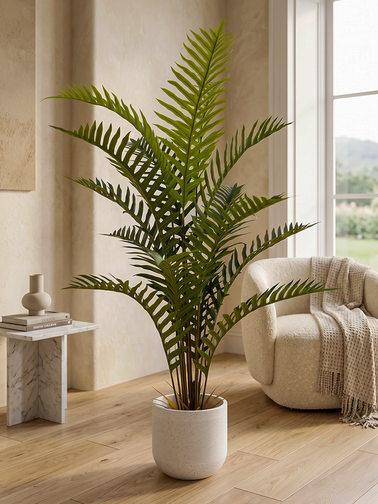 FERN PALM