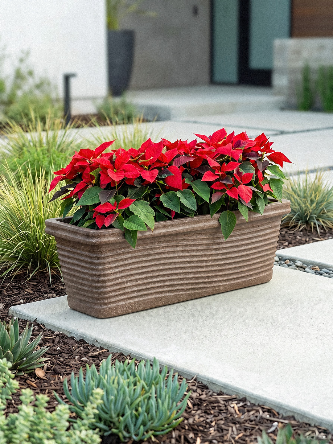FLORENCE PLANTER