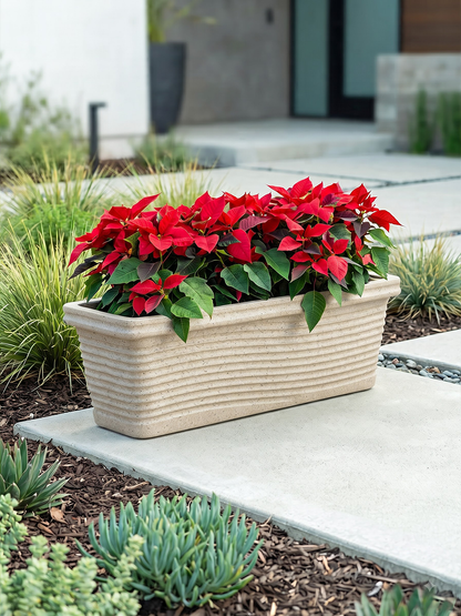 FLORENCE PLANTER