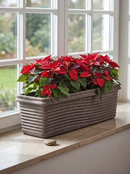 FLORENCE PLANTER