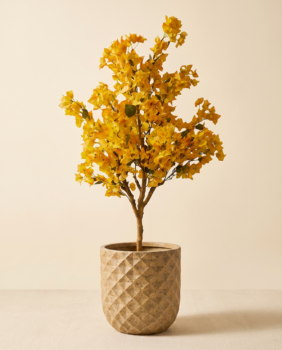 Grandeur with Bougainvillea Yellow 5 ft