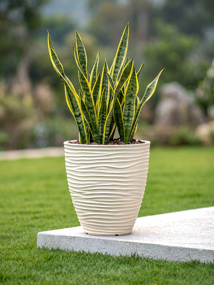 HAVANA MARBLE FINISH PLANTER