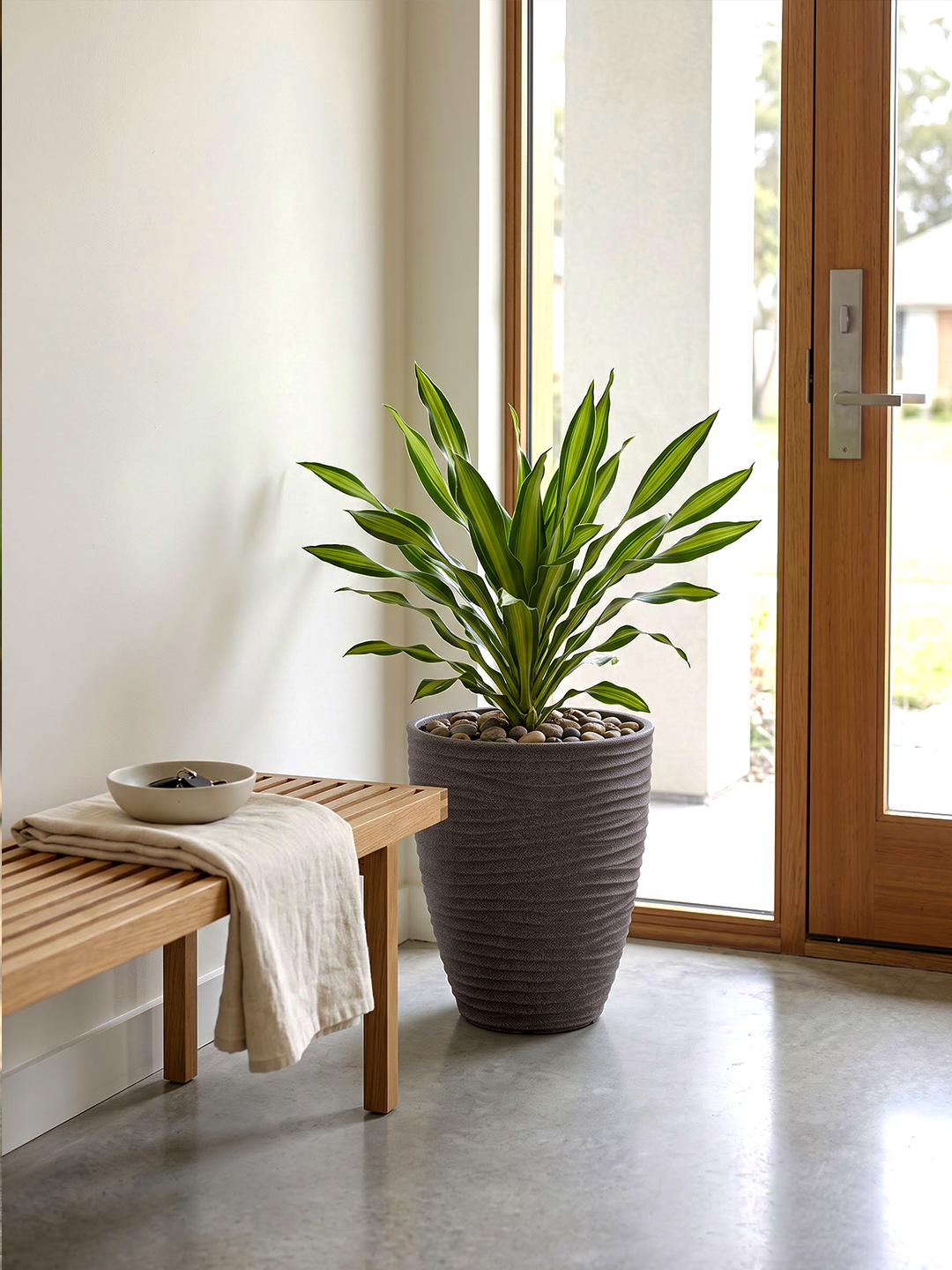 HAVANA PLANTER