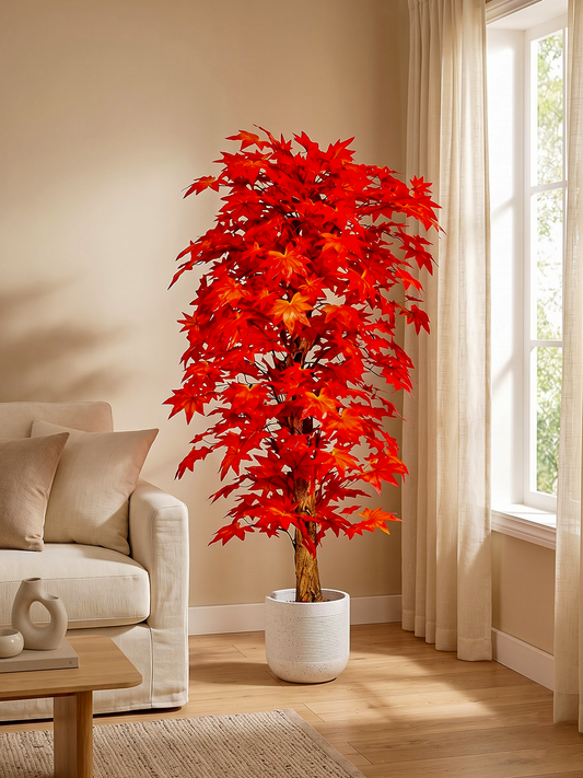 MAPLE PLANT C.W.S