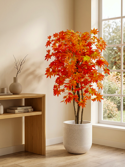 MAPLE RED