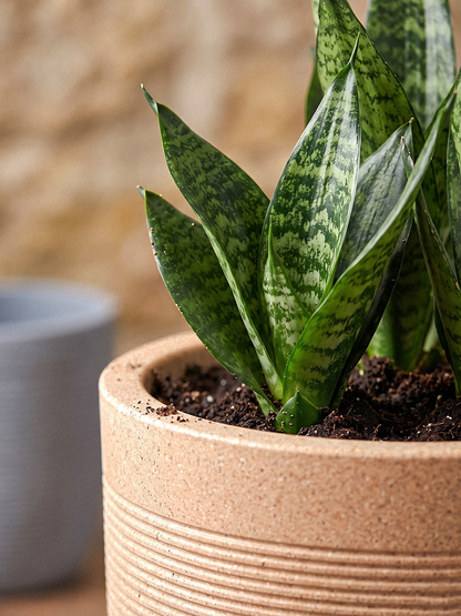 MILANO PLANTER