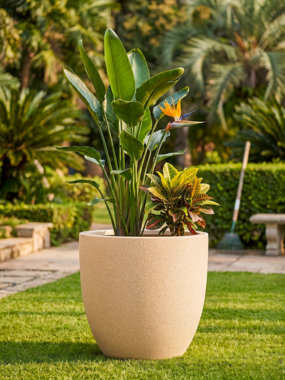 OHIO PLANTER