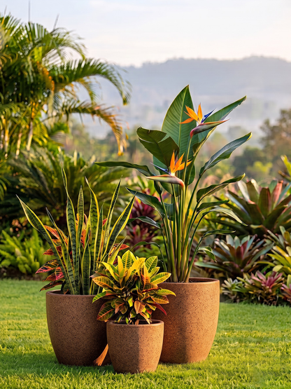 OHIO PLANTER