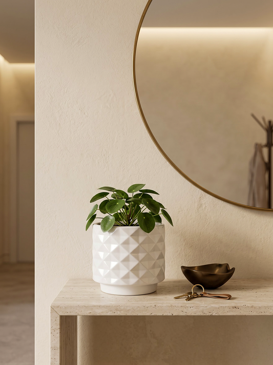 ONDA (Set of 3)
