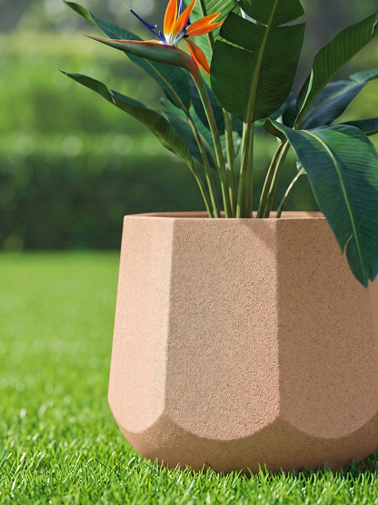 OREGON PLANTER