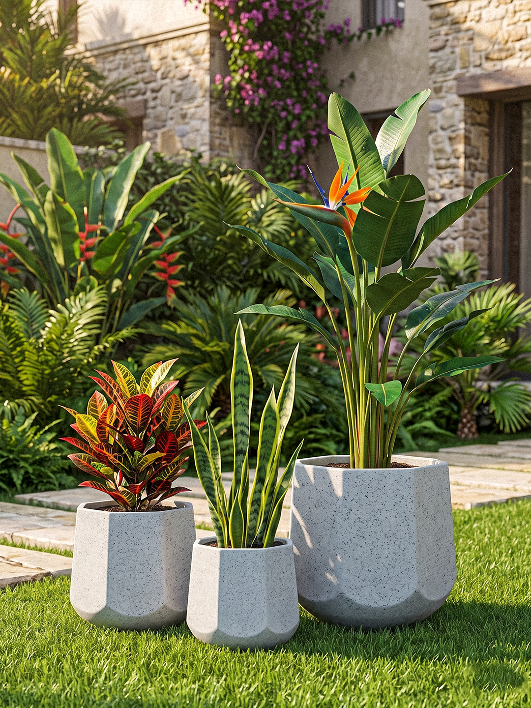 OREGON PLANTER