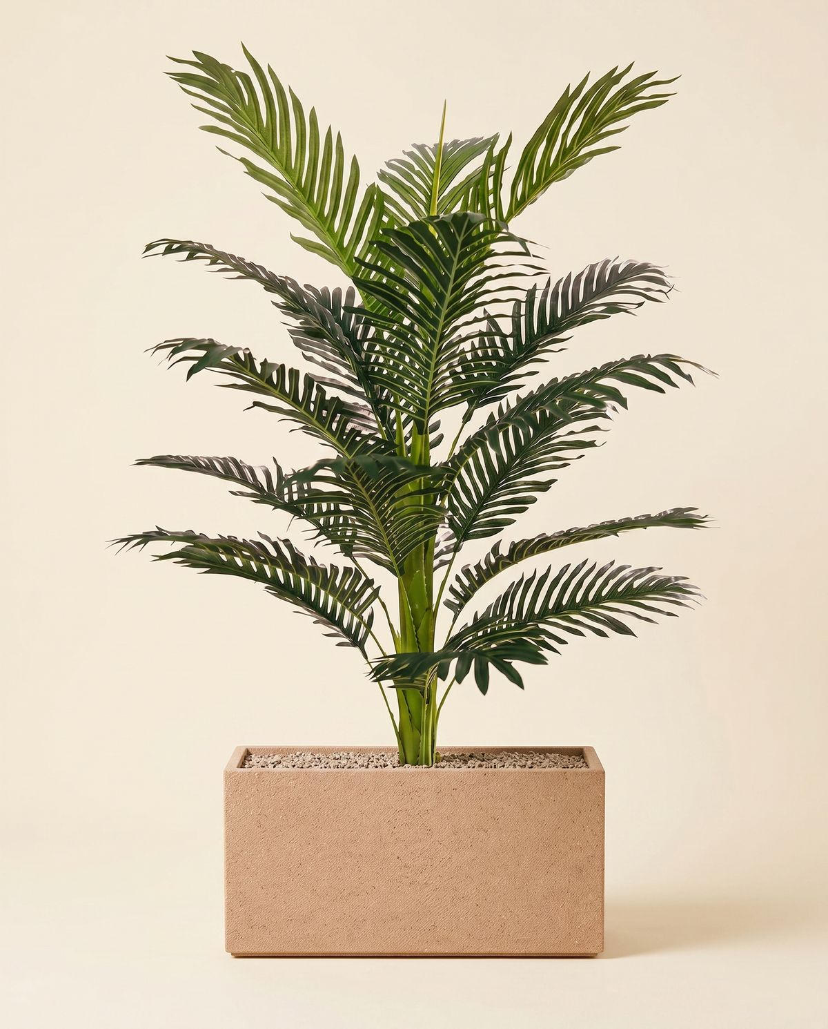 Quebec Rectangle with Fern Palm 5 ft