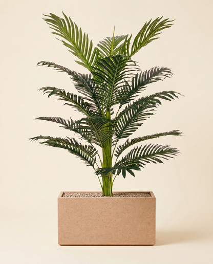 Quebec Rectangle with Fern Palm 5 ft