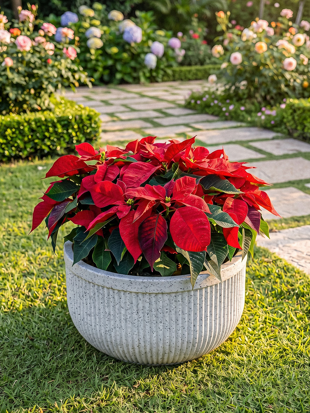 TOKYO BOWL PLANTER