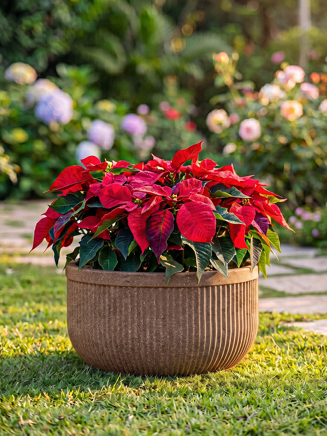 TOKYO BOWL PLANTER