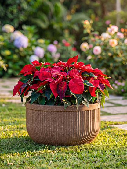 TOKYO BOWL PLANTER