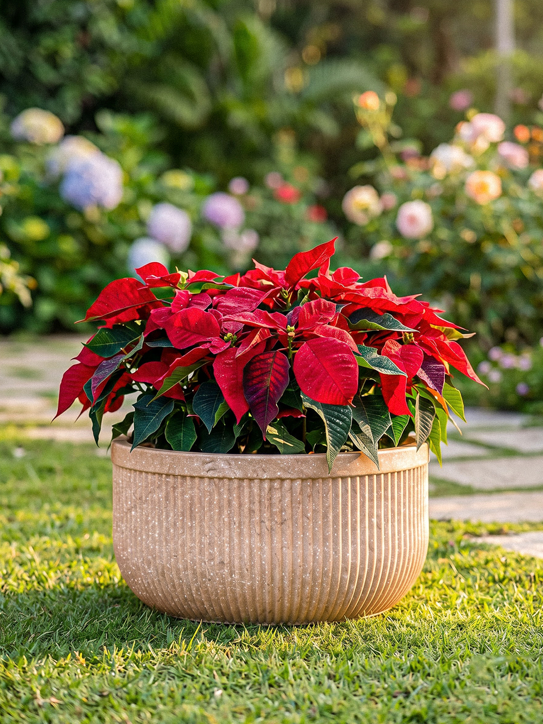 TOKYO BOWL PLANTER