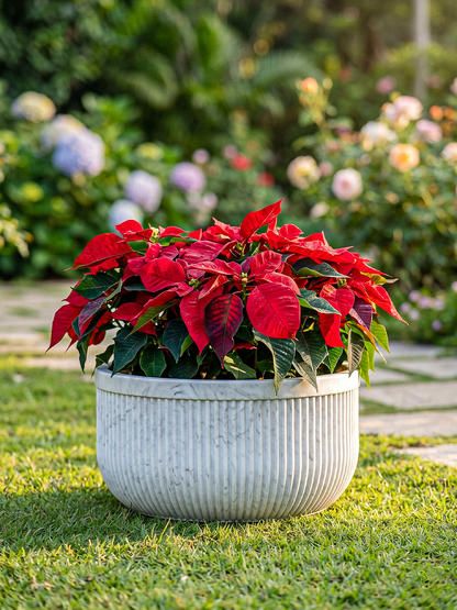 TOKYO BOWL PLANTER