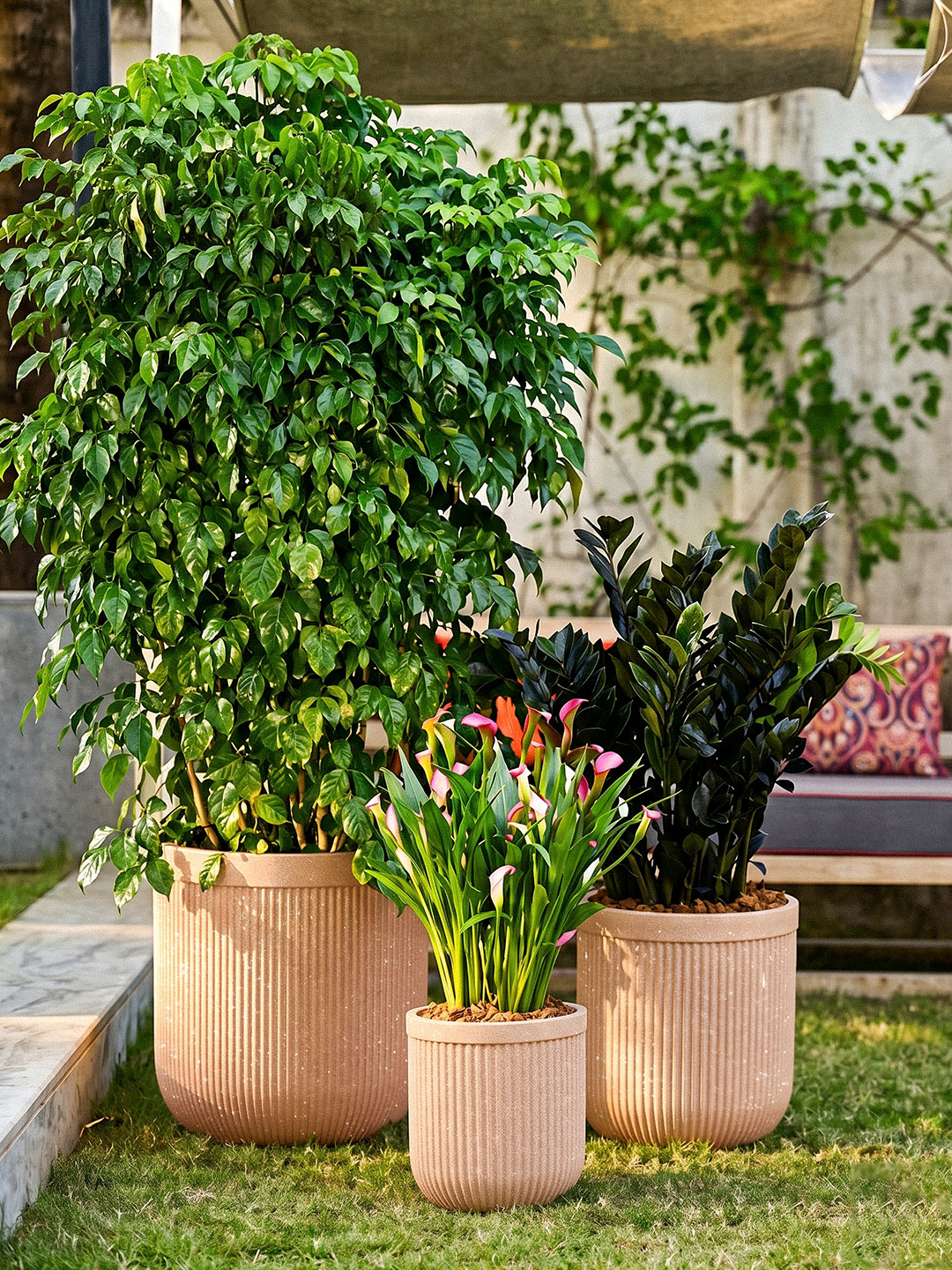 TOKYO PLANTER