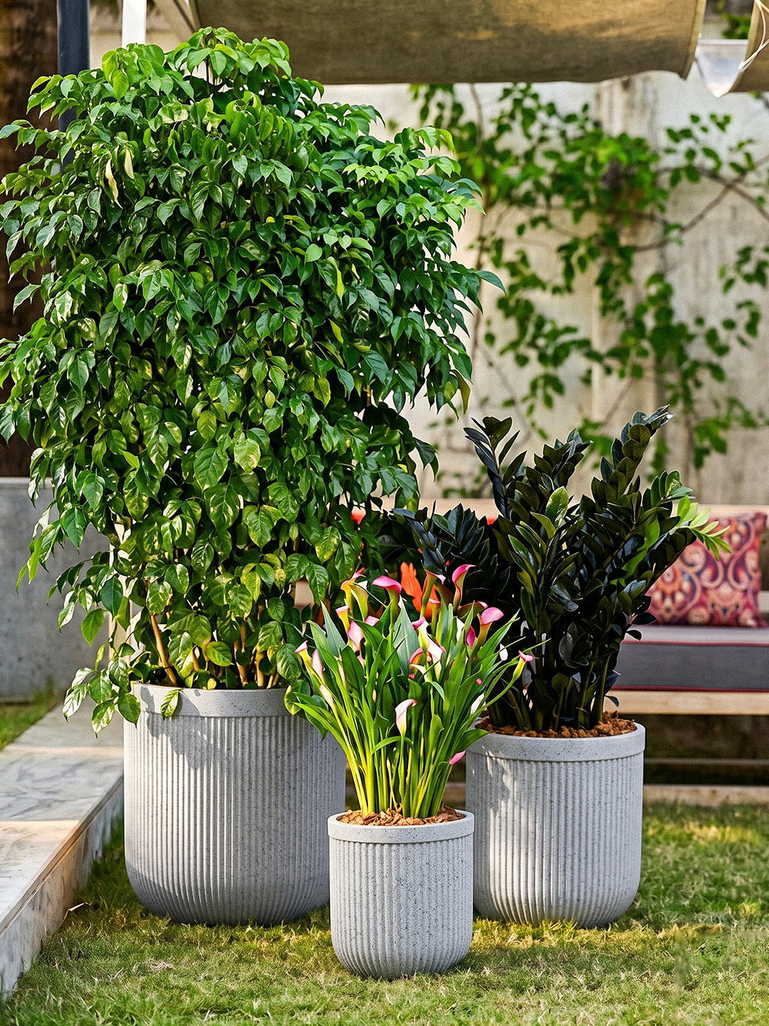 TOKYO PLANTER