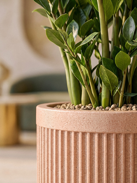 TOKYO PLANTER