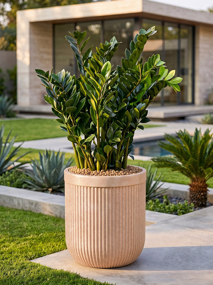 TOKYO PLANTER